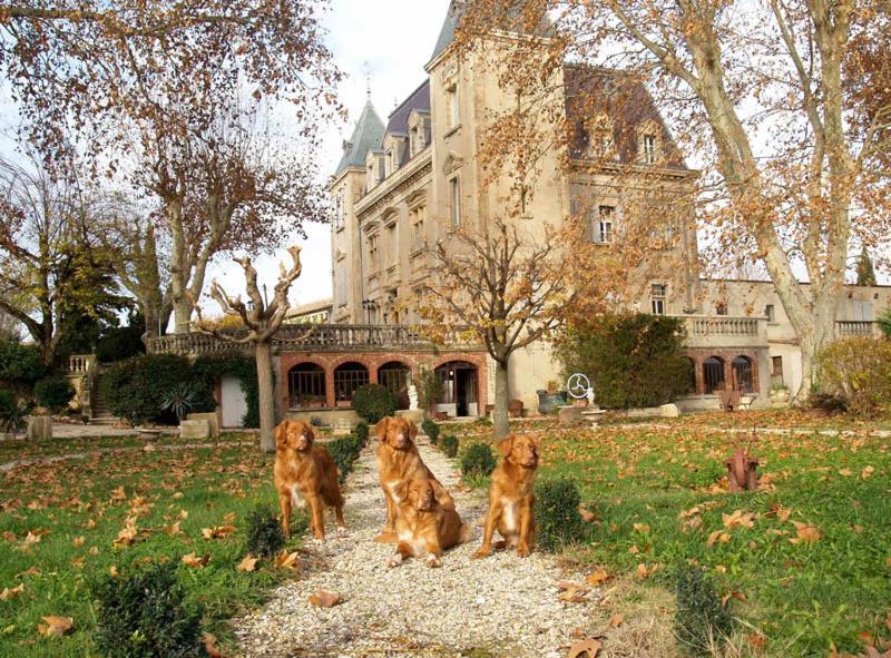 Le Mogador Chateau Du Martinet Violes Exterior photo
